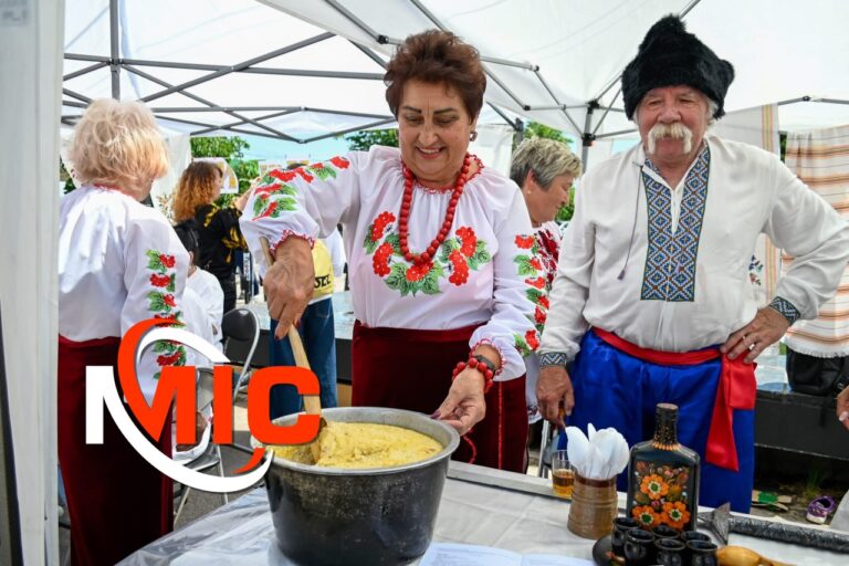 Як у Кам’янському відзначили День вишиванки?