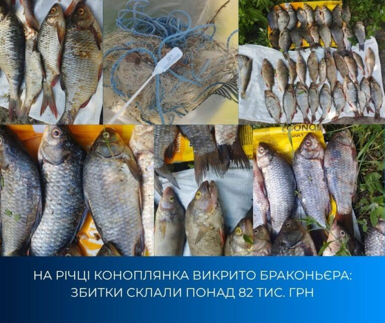 Під Кам’янським викрили грубе порушення правил рибальства
