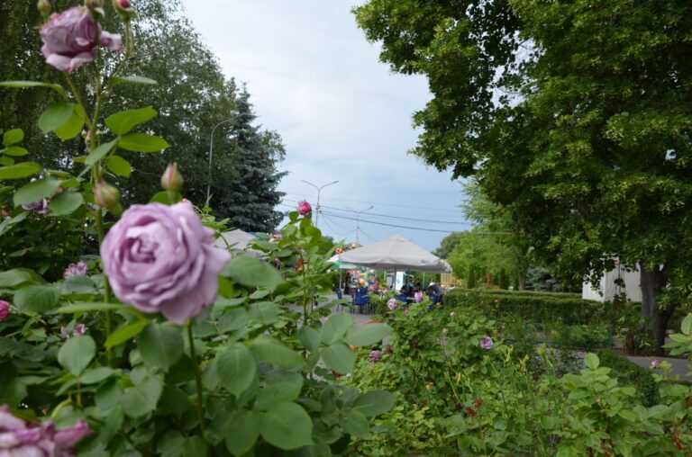 Погода у Кам’янському 9 червня: хмарність та дрібний дощ