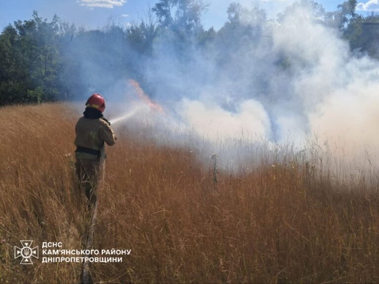 ДСНС звітує: 100 оперативно-рятувальних виїздів за тиждень