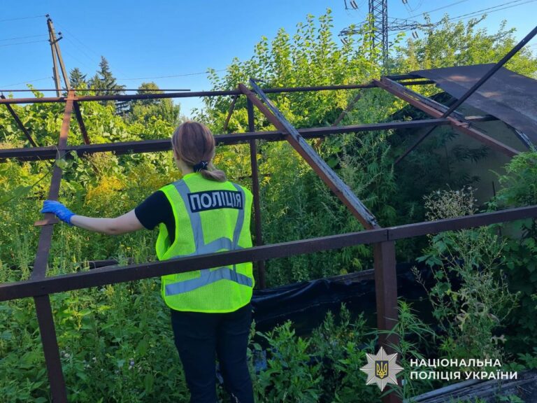 У Кам’янському судитимуть двох містян за незаконне вирощування конопель