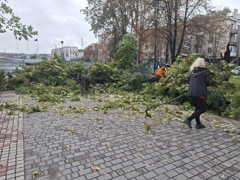 Чисті вулиці та прибрані дерева: як комунальники Кам’янського ліквідовують наслідки зливи (фото)