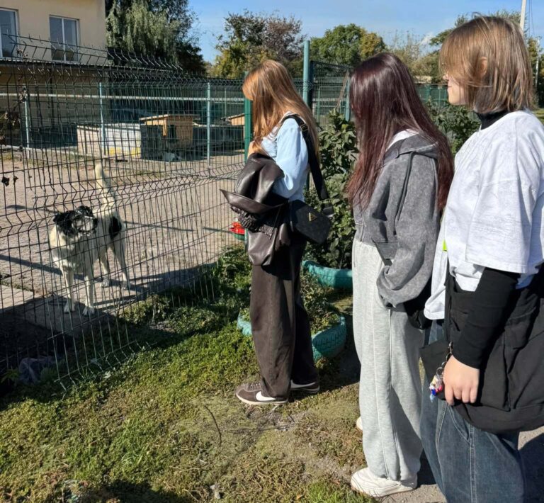 Як кам’янські ліцеїсти підтримали чотирилапих мешканців міського притулку